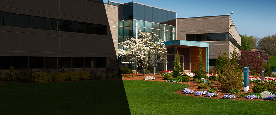 Wallington Landscapers