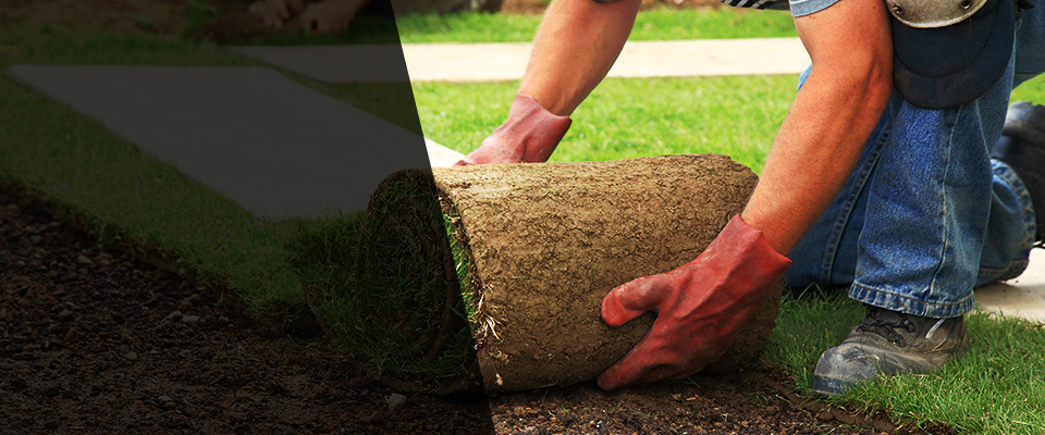 Wallington Landscapers